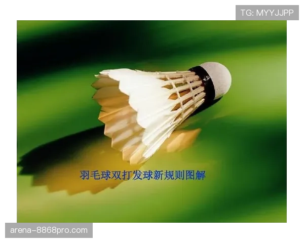 界外球规则解析:球权归属与发球位置界定 界外球规则解析:球权归属与发球位置界定